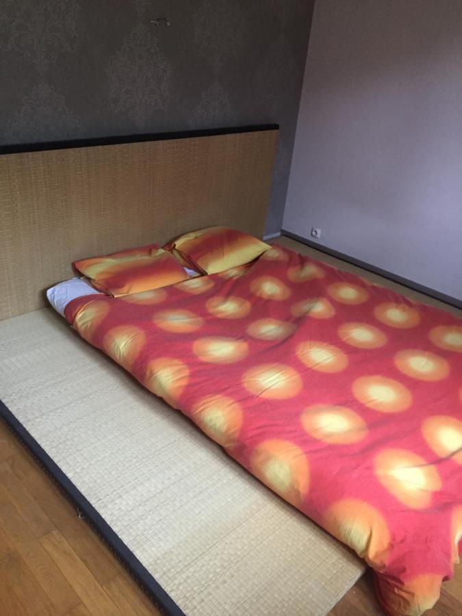 Chambre Double Futon Et Chambre Classique Au Coeur Du Vercors Saint-Agnan-en-Vercors المظهر الخارجي الصورة